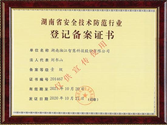 安全技術(shù)防范一級(jí)